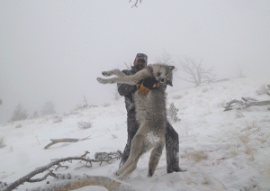 Aaron Daniel with Wolf