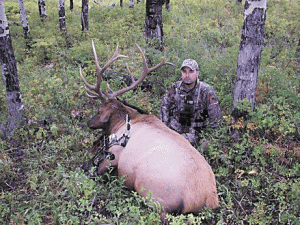 Casey Ripple Elk